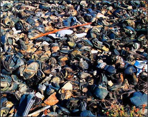 GULAG. Butugychag Forced Labor Camp. Magadan region. Photo by Sergey Melnikoff.